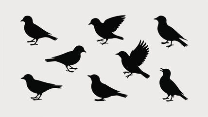 Obraz premium Songbird Silhouette Vector Set for Nature, Wildlife, and Decorative Art Projects