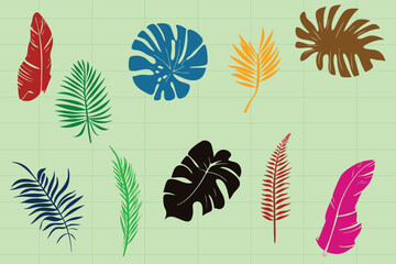 Flat and lineart vector leaf decorations, featuring diverse leaf shapes from tropical to temperate. Ideal for logos, posters, greeting cards, web design, and any botanical or garden-inspired illustrat