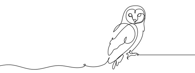 Continuous line, owl, barn owl Vector art lines, transparent background, edit stroke © Proongnee