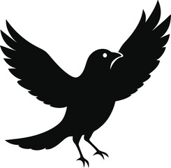 vector illustration of a Black Cowbird