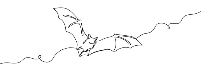 continuous line bat Vector art lines, transparent background, edit stroke © Proongnee