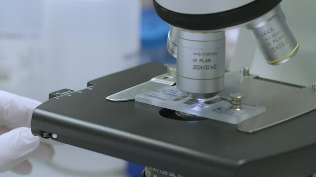 Scientific process in action as a gloved researcher places a specimen slide for microscopic analysis.