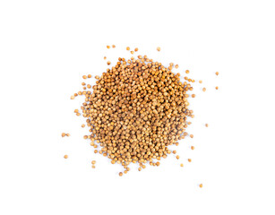 Coriander Seeds Isolated, Cilantro Grains, Chinese Parsley Seed Group, Dry Spices, Seasonings