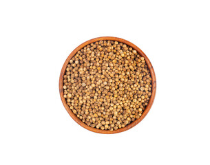 Coriander Seeds Isolated, Cilantro Grains, Chinese Parsley Seed Group, Dry Spices, Seasonings