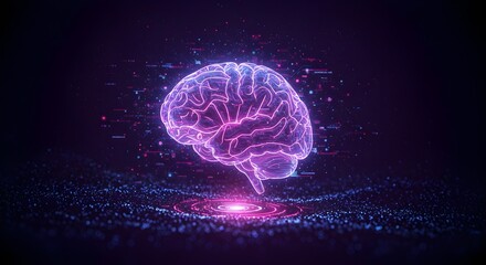 human brain x ray scan