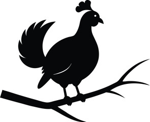 vector illustration of a Turkey
