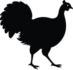 vector illustration of a Turkey