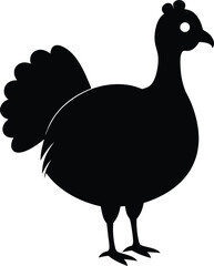vector illustration of a Turkey