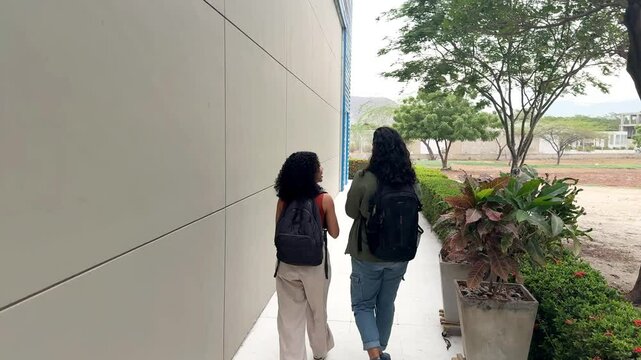 University students walking and talking on campus