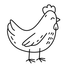 Chicken Vector Line