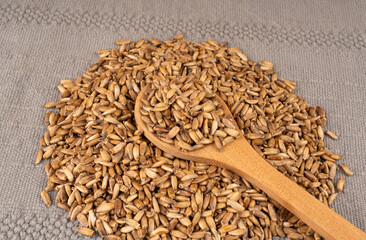 Milk thistle seeds, silybum marianum grains, dry blessed milkthistle fruits, variegated thistle kernels