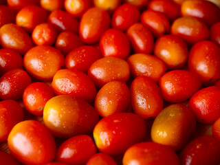 Organic Red grape cherry tomato. fresh vegetables. copy space.