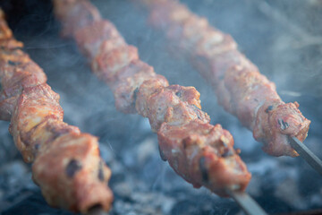 Marinated meat pieces on skewers lie on the grill and are fried on coals. Cooking pork shashlik. Outdoor recreation
