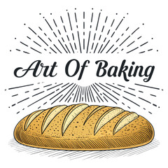 Retro-styled illustration of a golden-brown bread loaf, sun rays beaming, emphasizing the art of baking.  Scrumptious detail.