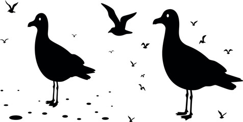 Silhouettes of Birds and Nature

