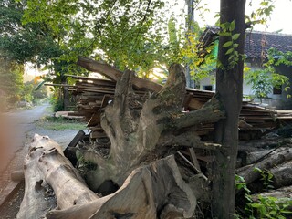 Cut Wooden Logs Arranged Neatly in a Stack for Winter Firewood Storage
