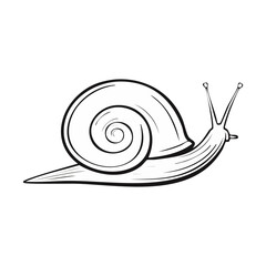 snail on a white background