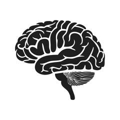 human brain vector illustration