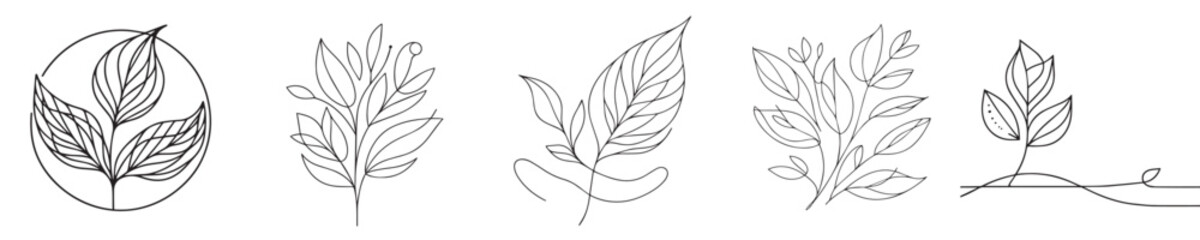 continuous line style leaf vector