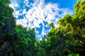 Obraz premium Rio de Janeiro Brazil Mountains Hills Rocks and Rainforest Panorama.