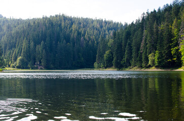 Lake Synevyr Carpathians Ukraine