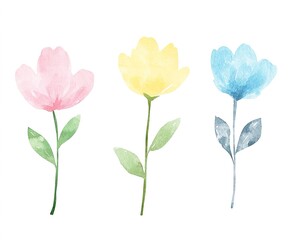 Watercolor Pastel Flowers Illustration