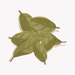 Bay leaves graphic design illustration
