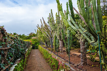 Botanical Garden in Funchal, Madeira, Portugal
