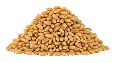 A close-up view of a large mound of golden wheat grains, showcasing their texture and color against a clean background