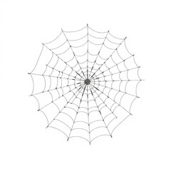 Obraz premium Hand Drawn Spider Web Illustration Isolated