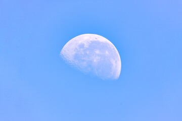Daylight Moon