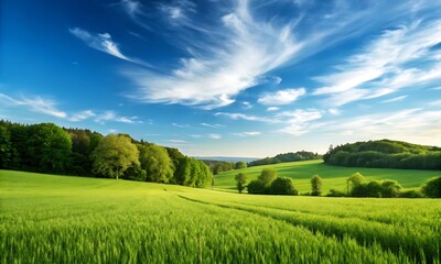 Fototapeta premium Lush Green Fields Under a Vibrant Sky
