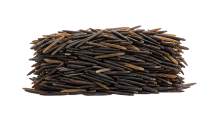 A large pile of natural twigs and branches arranged neatly, set against a white background, ideal for organic design themes