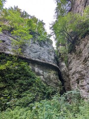 Deep narrow Pokljuka Gorge in Slovenia surrounded by steep cliffs, dense forest, and hiking trails.