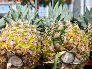 fresh and ripe harvested pineapples