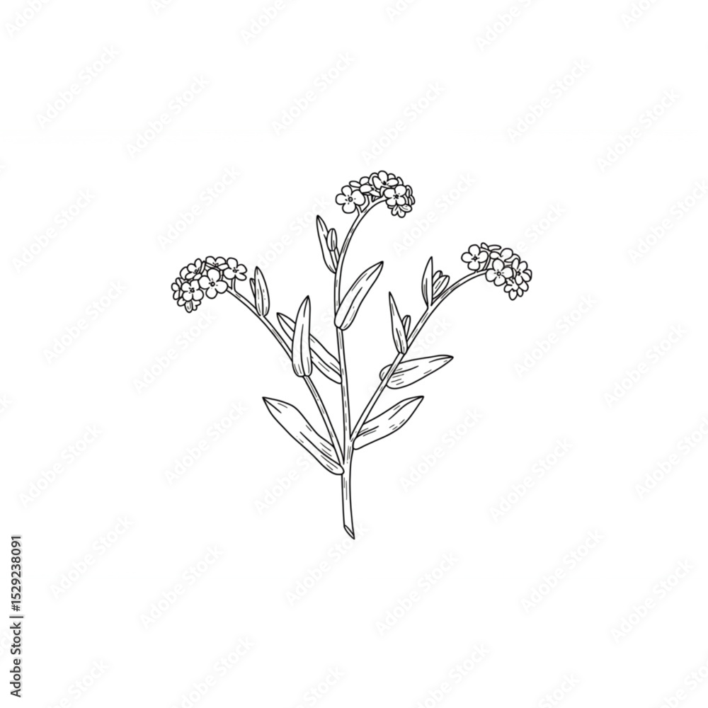Poster elegant floral branch design scalable for logos branding and botanical prints