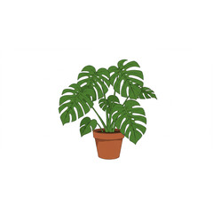 Obraz premium Elegant Monstera Deliciosa Plant Potted in a Brown Pot Perfect for Home Decor Botanical Design