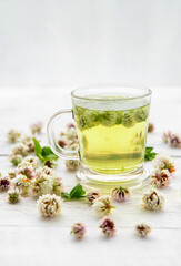 White clover Trifolium repens herbal tea in a clear glass. Steaming hot drink with glower blossoms inside and scattered around, white wood minimal background.