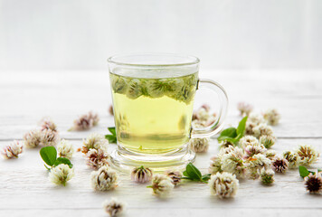 White clover Trifolium repens herbal tea in a clear glass. Steaming hot drink with glower blossoms...