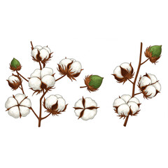 Elegant Cotton Plant Botanical Design perfect for textile branding logo design or nature inspired artwork projects