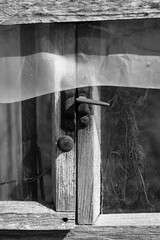 Timeworn window, a monochrome ghost of what once was. Rust and wood cling to faded light,...