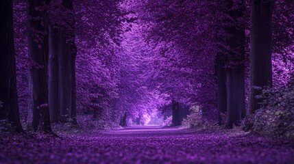 Surreal abstract landscape of endless purple pathways with dreamy mist and soft gradient light in futuristic fantasy environment, ideal for creative backgrounds, digital art projects, and visionary wa
