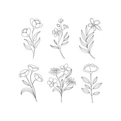 Minimal Hand Drawn Wildflower Line Art Set on White Background