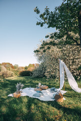 Relaxing outdoor picnic setup in a serene garden on a sunny day