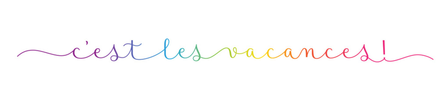 C'EST LES VACANCES! (SCHOOL'S OUT! in French) colorful brush calligraphy banner