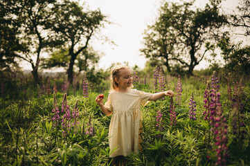 Happy little girl in a light summer dress walking through a blooming lupine field on a sunny day. Child enjoying nature, holding a strawberry and smiling. Warm natural light, carefree childhood moment