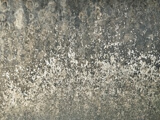 Abstrack grunge old concrete wall with moss texture and background. Architecture ideas	