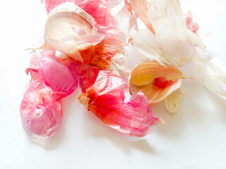 Peeled onion and garlic skin isolated on white background.