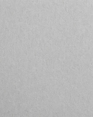 Fototapeta premium Light Gray Paper Texture with Fine Grain and Soft Recycled Surface Look