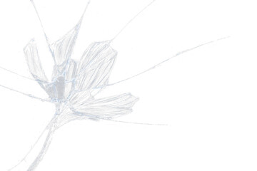 Broken glass on transparent background with lots of glass splinters and cracks
